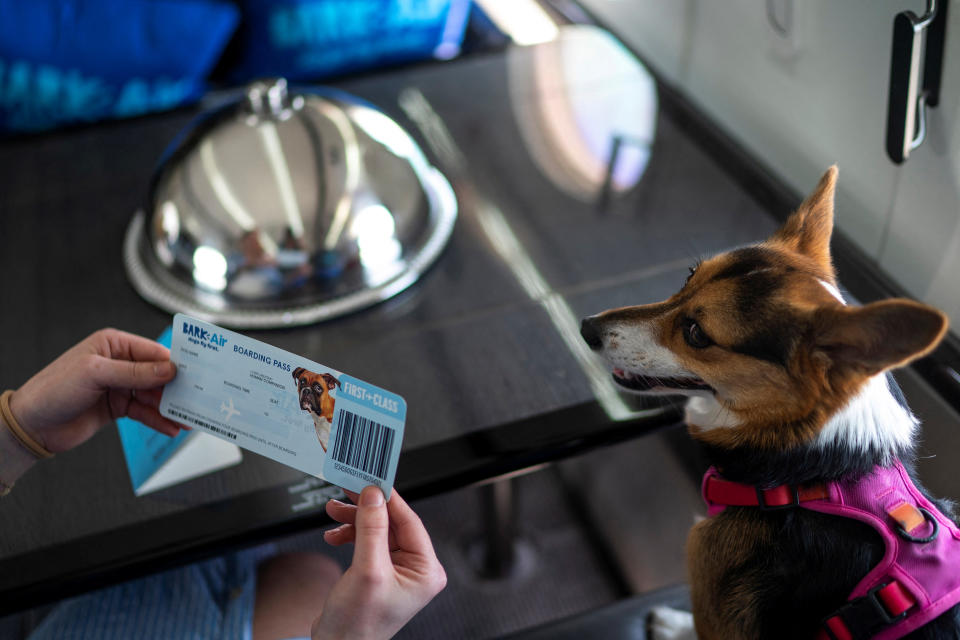 A woman shows a dog’s boarding pass after boarding a plane during a press event introducing Bark Air, an airline for dogs, at Republic Airport in East Farmingdale, New York, May 21, 2024. REUTERS/Eduardo Munoz