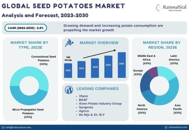 Potato Market - Forecast Size, Trends & Industry Report