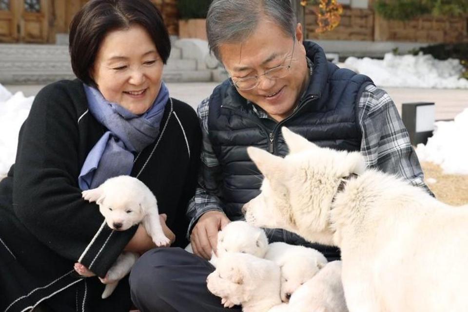 South Korea’s president Moon Jae-in and wife Kim Jung-sook with puppies mothered by the dog presented by North Korea as a ‘peace gift’ (Twitter/Blue House South Korea)