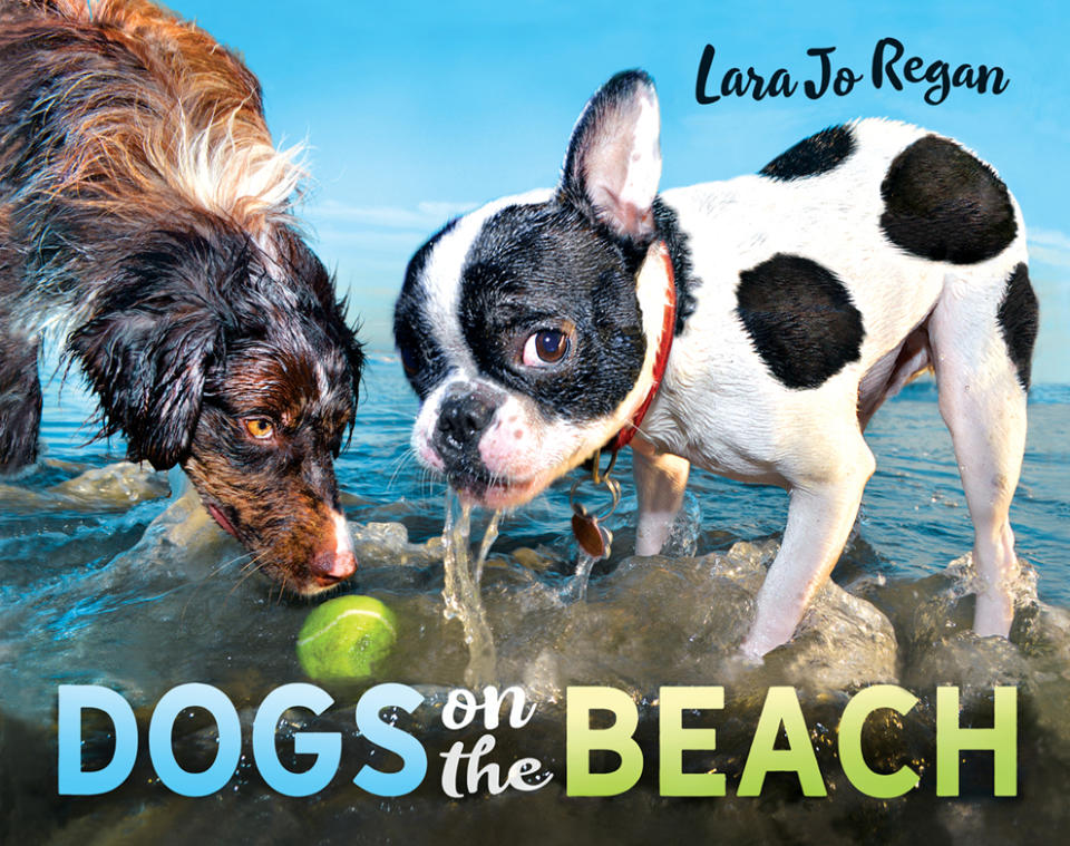 <p>Book jacket for “Dogs on the Beach.” (Photo: Myth and Matter Media) </p>