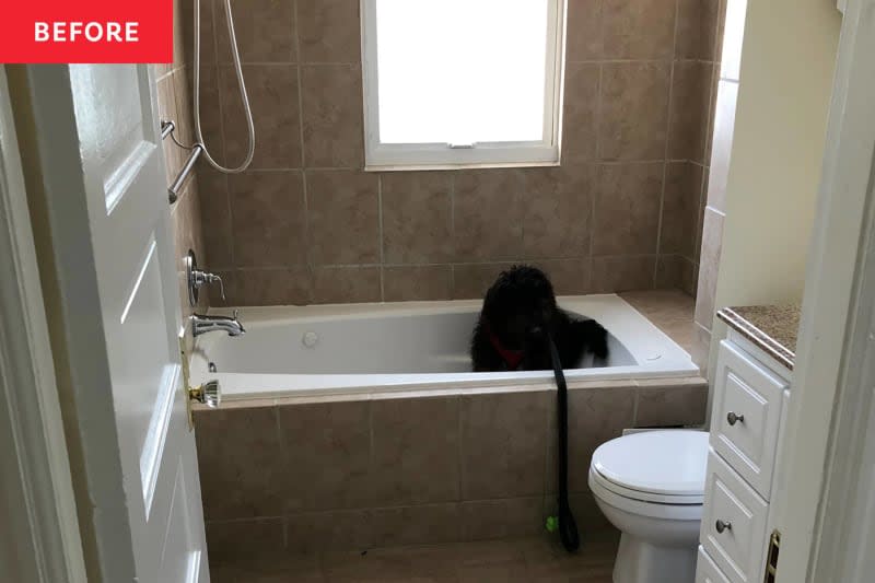 Before bathroom dog in tub.