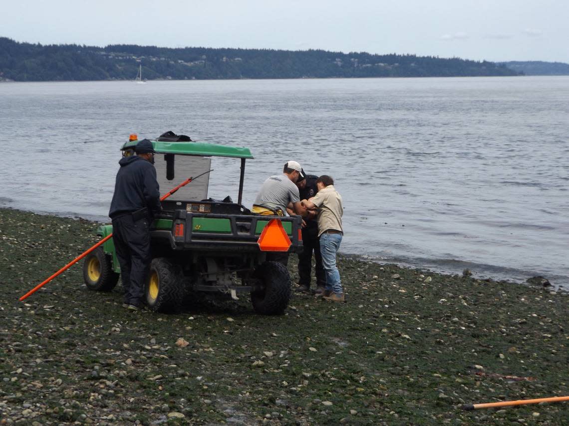 Workers with Metro Parks Tacoma helped rescue a crow caught dangling from a tree at Owen Beach on July 21, 2024.