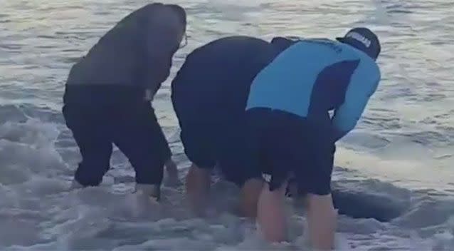 The team rushed to the dolphin to try to assist in the rescue. Source: Instagram.