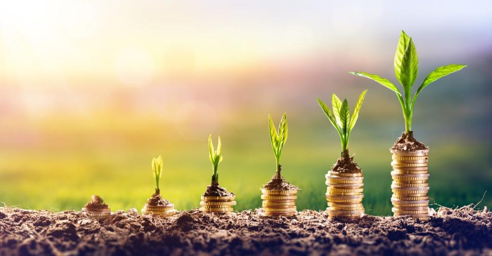 Row of increasingly large coin stacks from which plants sprout.