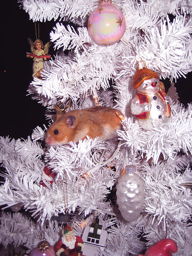 A Mousey Christmas