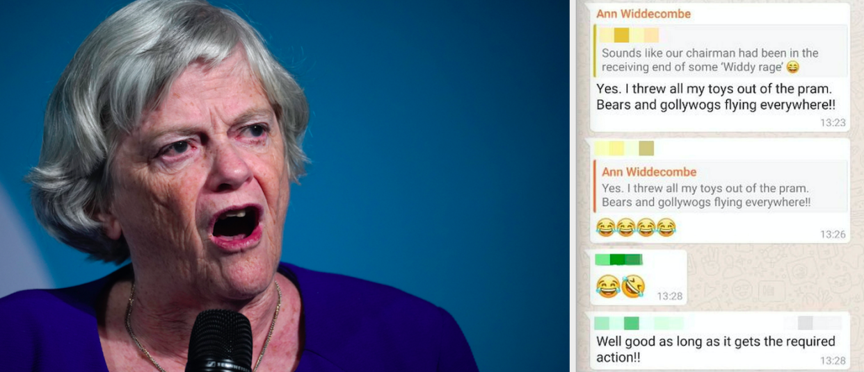 Ann Widdecombe used the word 'golliwog' in a WhatsApp group (Getty/SWNS)