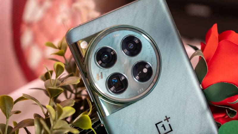 The OnePlus 11 features a three-camera system in a circular array. - Photo: Florence Ion / Gizmodo