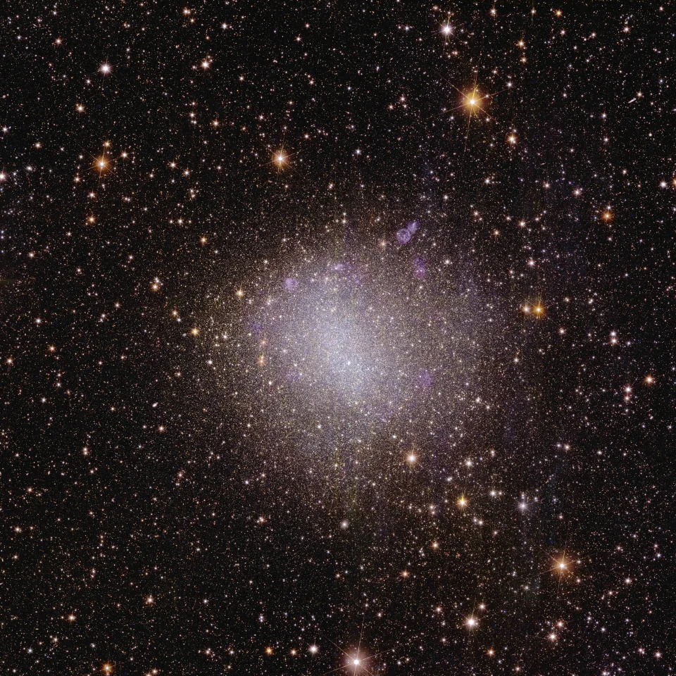 Euclid spacecraft's view of the irregular galaxy NGC 6822