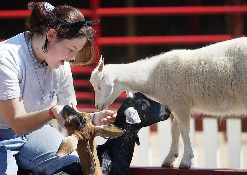 動物照顧員、動物訓練員的空缺增長都在30%水平。  (Glenn Asakawa/The Denver Post via Getty Images)