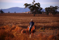 Farmer Scott Cooper rides his horse through a drought-effected paddock on his property named 'Nundah', located south of the central New South Wales town of Gunnedah, in Australia, July 21, 2018. Picture taken July 21, 2018. REUTERS/David Gray