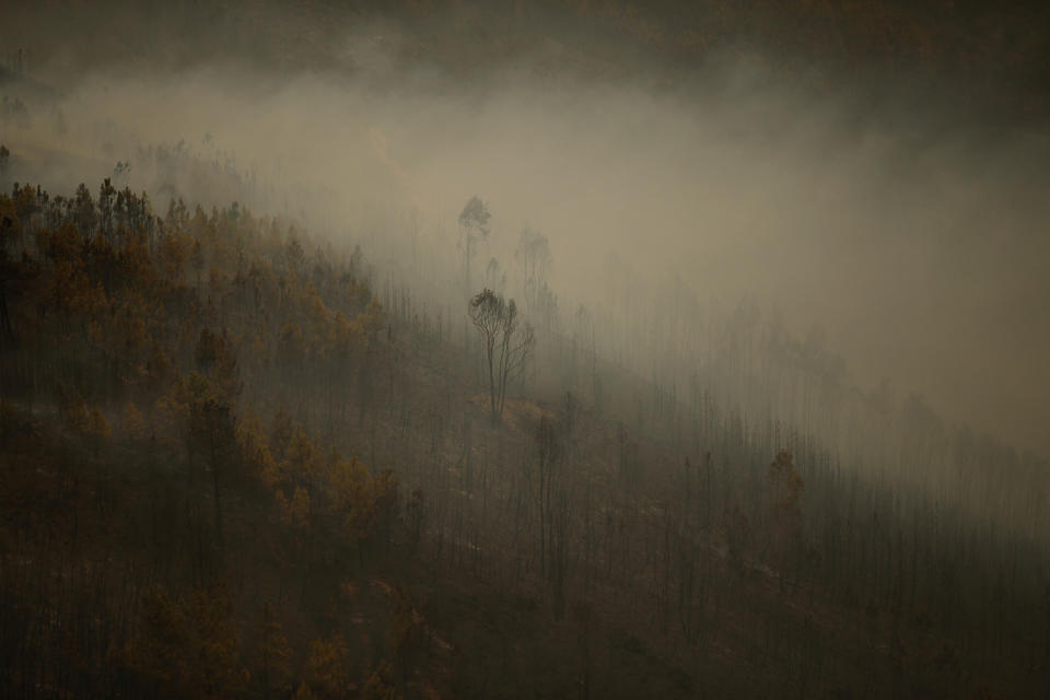 Wildfires ravage Portugal
