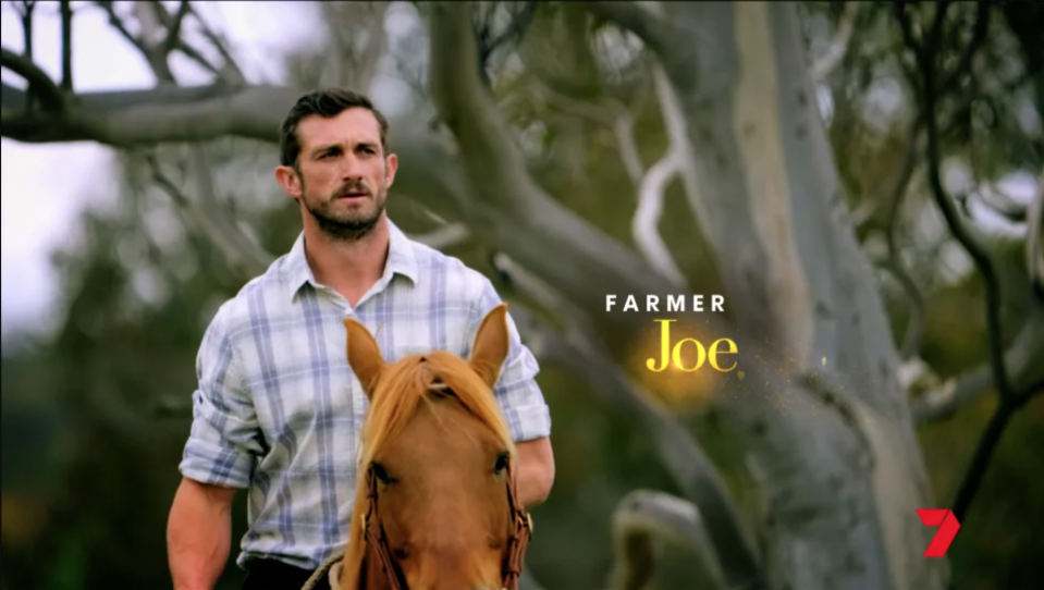 Farmer Joe 