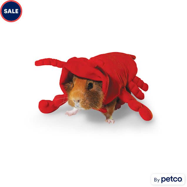 Lobster Guinea Pig Costume