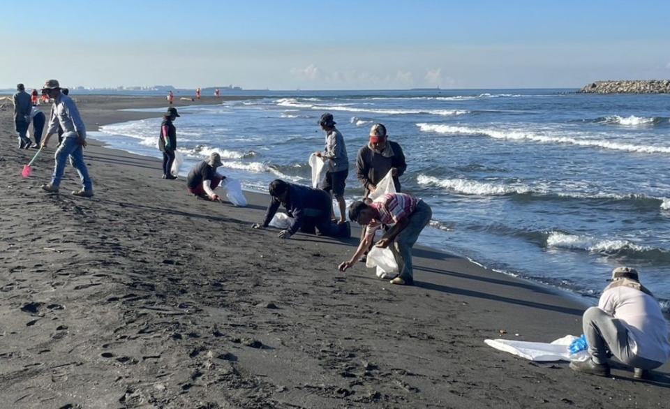 高雄旗津海沙灘出現不明油污港務公司派員清除。（記者許正雄翻攝）