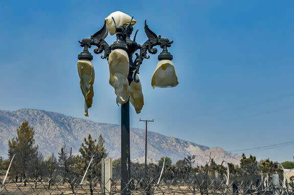 In 2017, California experienced it's worst wildfire season. Here's a melted streetlight from the Blue Cut Fire in Phelan, Calif.