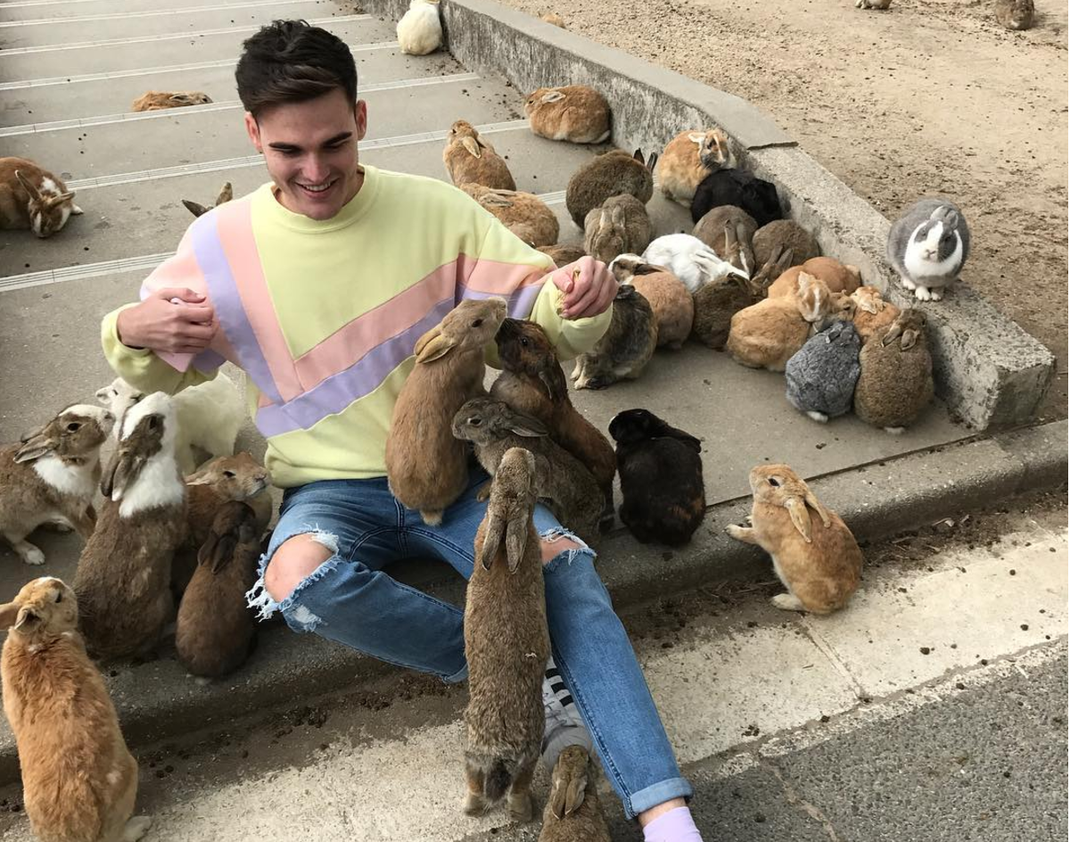There’s an island overrun with bunnies in Japan, and of course we have pictures