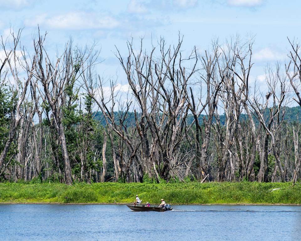 People fish at the Reno Bottoms in the Mississippi River a result of the degradation of the floodplain forests due to a decade of high water on the river, excess flooding and invasive species as the Fish and Wildlife Service works to restore these areas on Tuesday July 18, 2023 in De Soto, Wis.