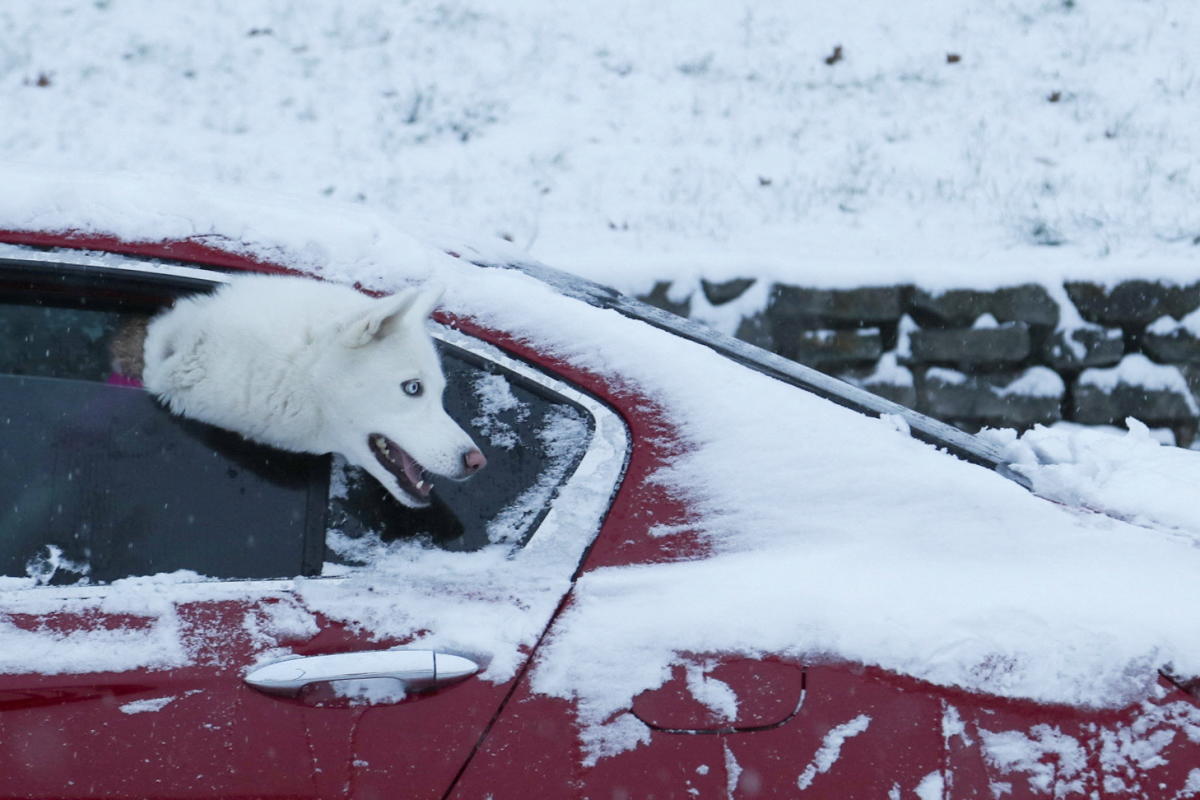 The stock market rally isn’t yet over, Deutsche Bank strategist says