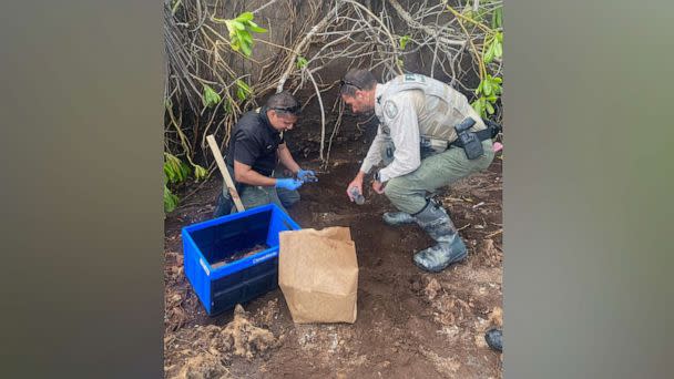 PHOTO: Tropical Storm Nicole's powerful winds have unearthed remains at a beach on Florida's Hutchinson Island, authorities said on Nov. 10, 2022. (Marin County Sheriff's Office, Florida)