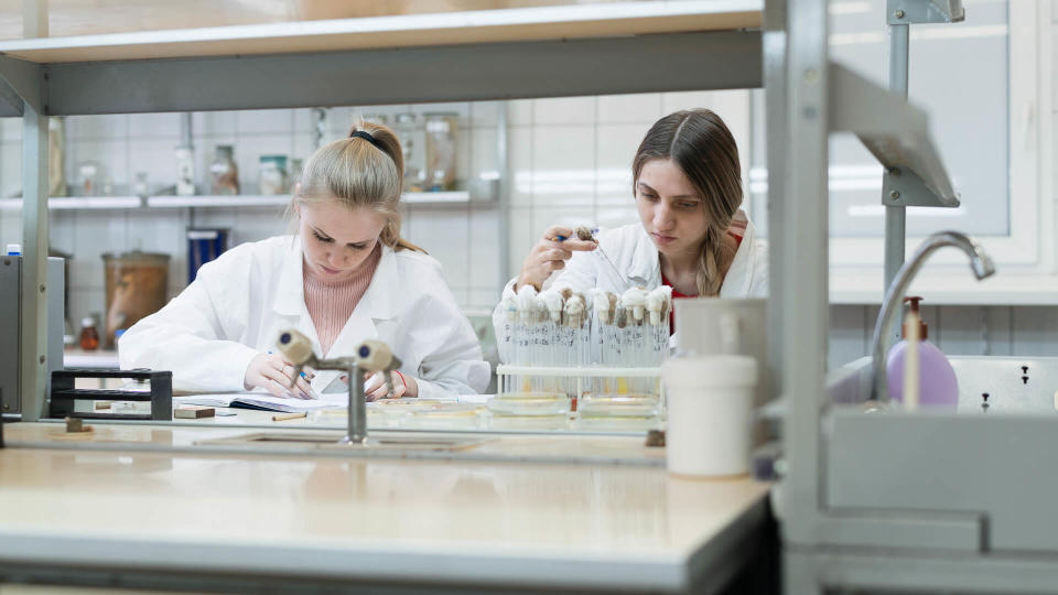 The group of women, college students, working together in the microbiology laboratory.