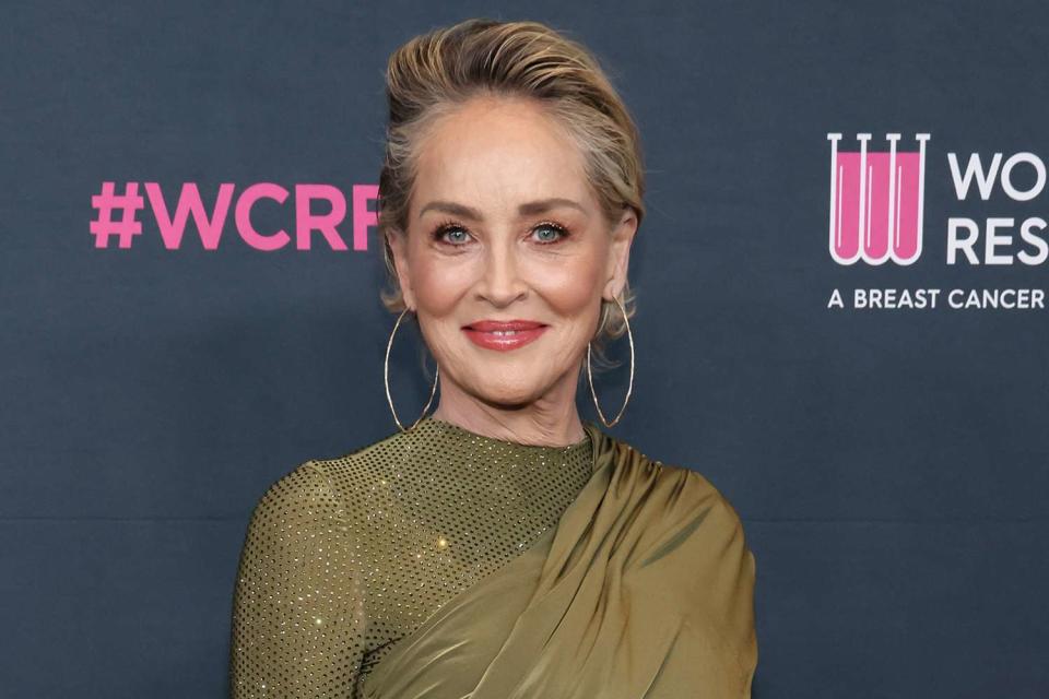 Rodin Eckenroth/WireImage Sharon Stone