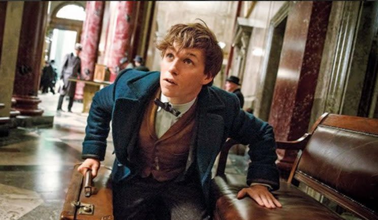 Fantastic Beasts 2 opens casting for a young Newt - Credit: Warner Bros