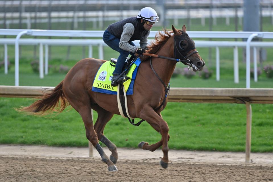 Taiba, working out with an exercise rider on May 4, has seen strong support from bettors Saturday morning and early afternoon.