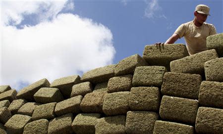 A Mexican soldier arranges blocks of marijuana, weighing a total of 46 tons, before they are incinerated at a military base in the border city of Tijuana in this May 11, 2010 file photo. REUTERS/Jorge Duenes