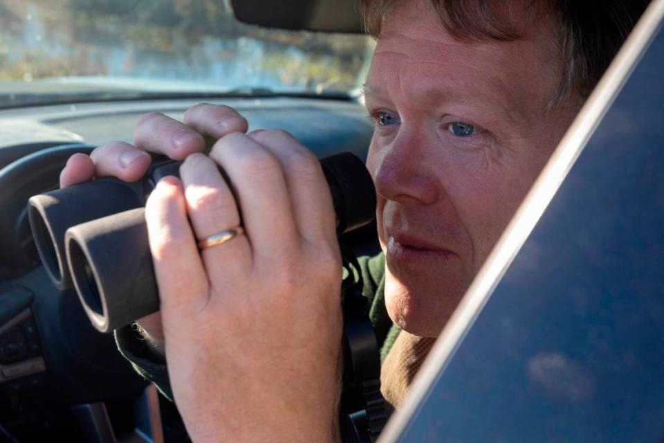 Ron Sutherland, a biologist with the Wildlands Network, searches for red wolves in the Alligator River National Wildlife Refuge on Dec. 14, 2023. The wild red wolf population dwindled to as few as seven wolves in the wild in recent years.