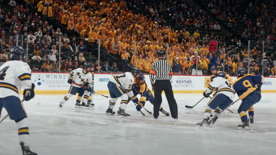 The start of a match in Hockeyland