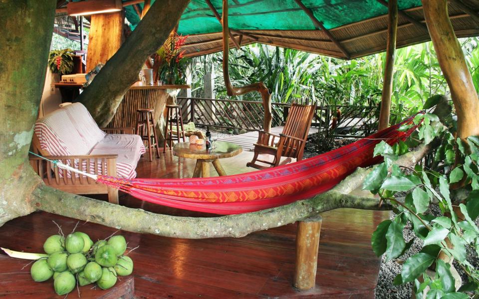 World's Coolest Tree-House Hotels: Tree House Lodge