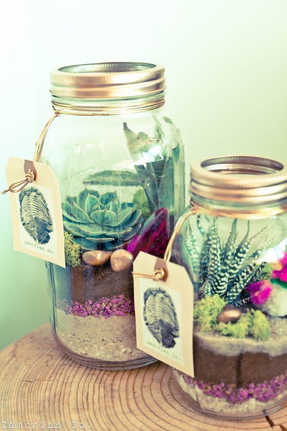 <p>For your succulent obsessed friend why not make them they're very own terrarium in a jam jar. <a rel="nofollow noopener" href="https://www.facebook.com/CambrianCo.design/" target="_blank" data-ylk="slk:[Photo: Cambrain Co];elm:context_link;itc:0;sec:content-canvas" class="link "><em>[Photo: Cambrain Co]</em></a> </p>