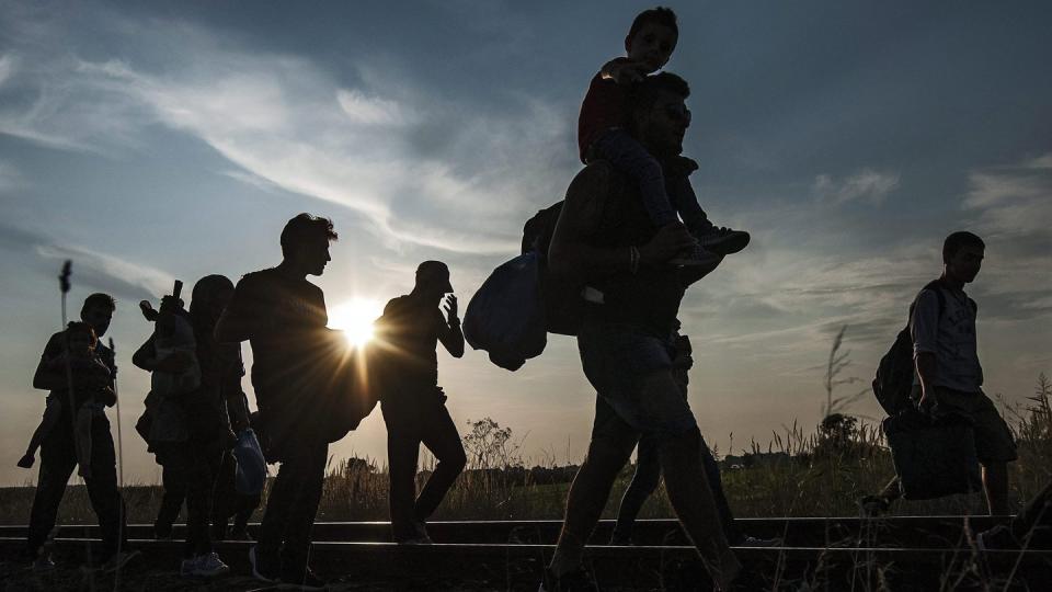 Flüchtlinge im August 2015 an der Grenze zwischen Ungarn und Serbien. Foto: Sandor Ujvari/MTI