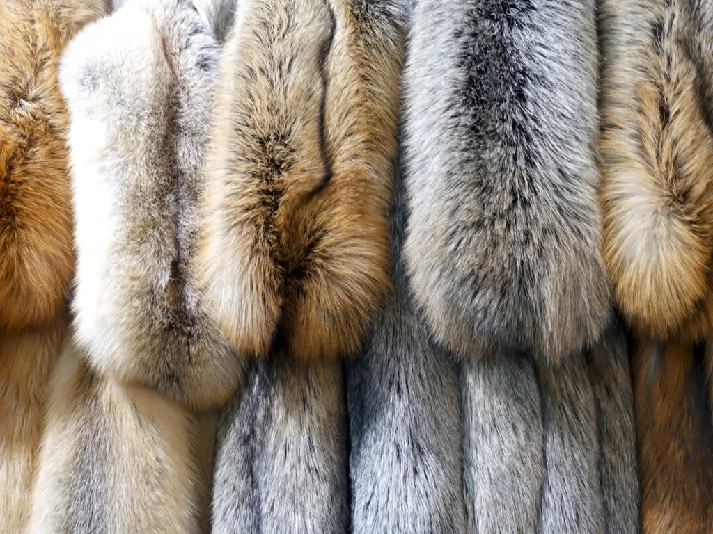 A selection of furs (Getty Images/iStockphoto)