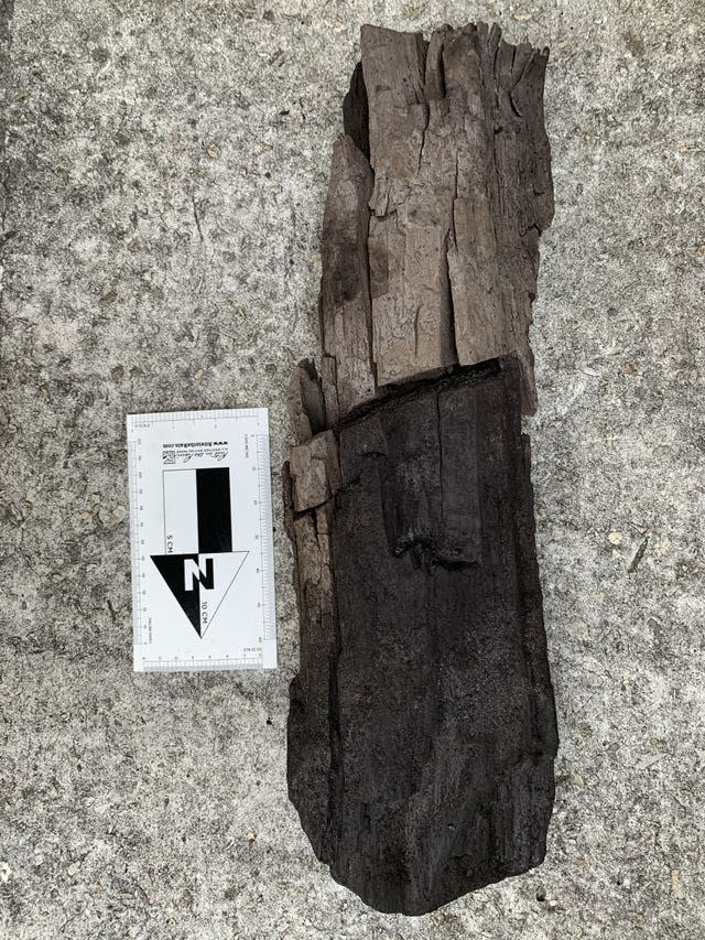 A perfectly preserved wood sample from the Tussac House site aged between 15 and 30 million years old