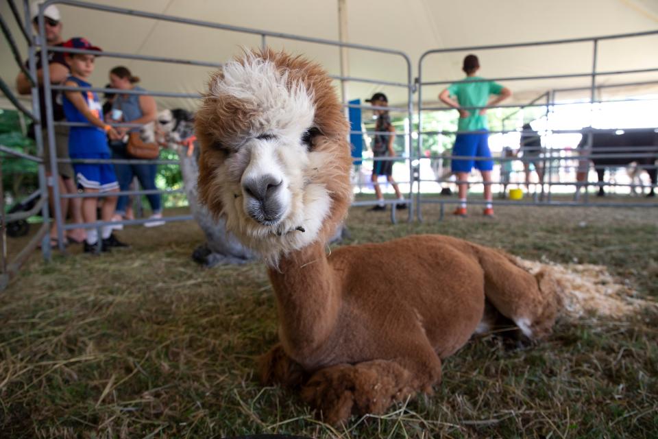 See animals, shows, music and more at the Monmouth County Fair.