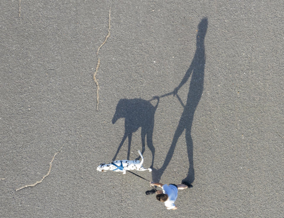 One man and his dog, a nice day for a stroll. A man walks his Dalmatian in the summer sun on Brighton seafront.