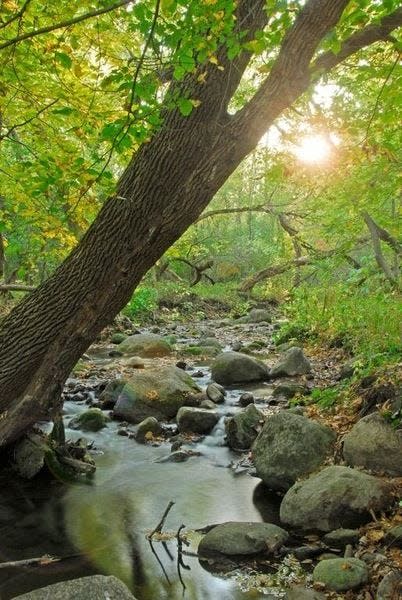 Natural springs are a big attraction along the hiking trails at Sica Hollow State Park.