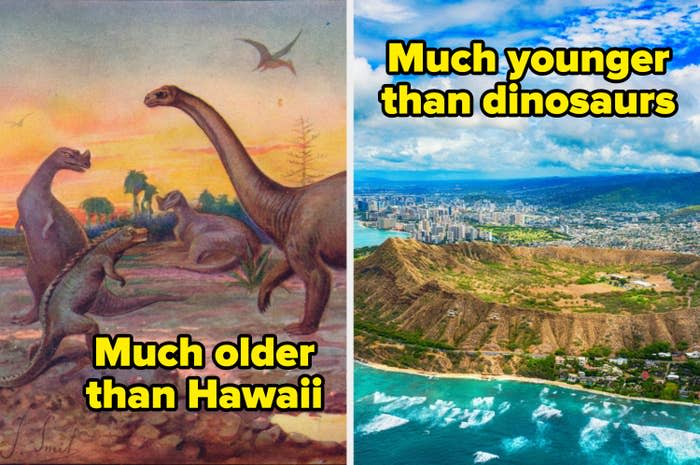 Dinosaurs and Hawaii