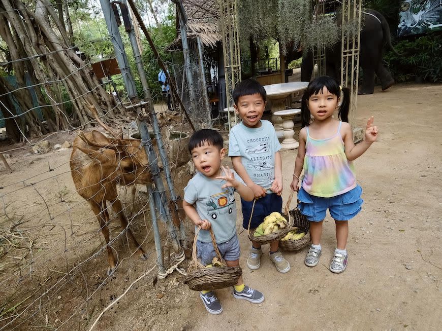 泰國｜曼谷＋Pattaya度假＋北碧府動物園