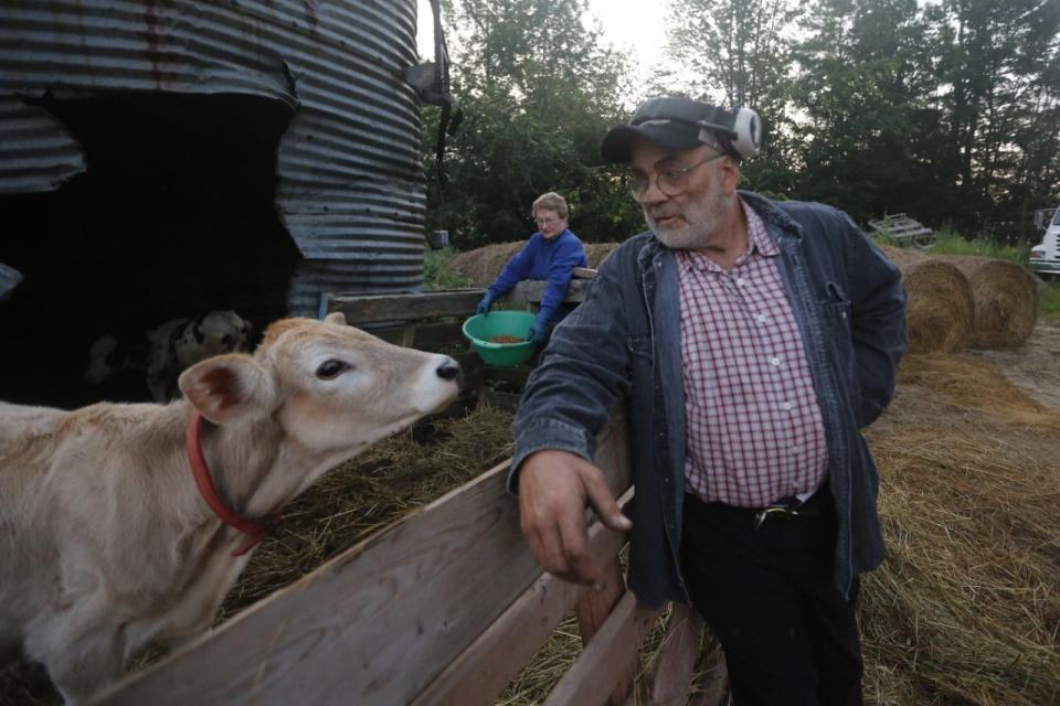 El ganadero Fred y Laura Stone trabajan en su granja lechera en Arundel, Maine. (Foto AP/Robert F. Bukaty)