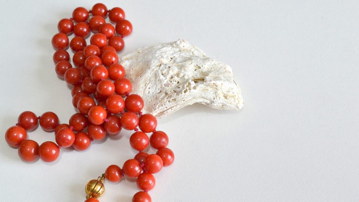 red coral necklace on seashell