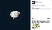 女死者的友人得悉噩耗，將facebook頭像換上白玫瑰悼念。(網上圖片)