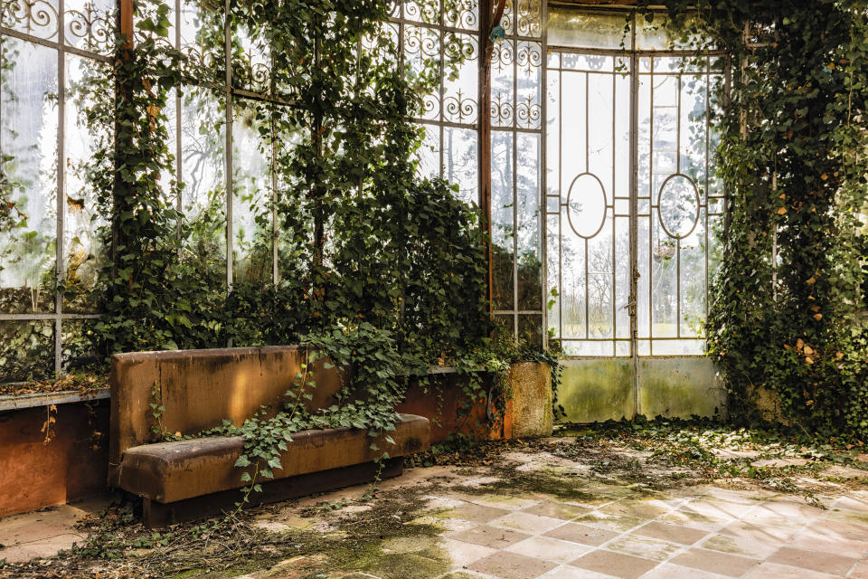 Photographer travels across Europe to document beautiful overgrown sites