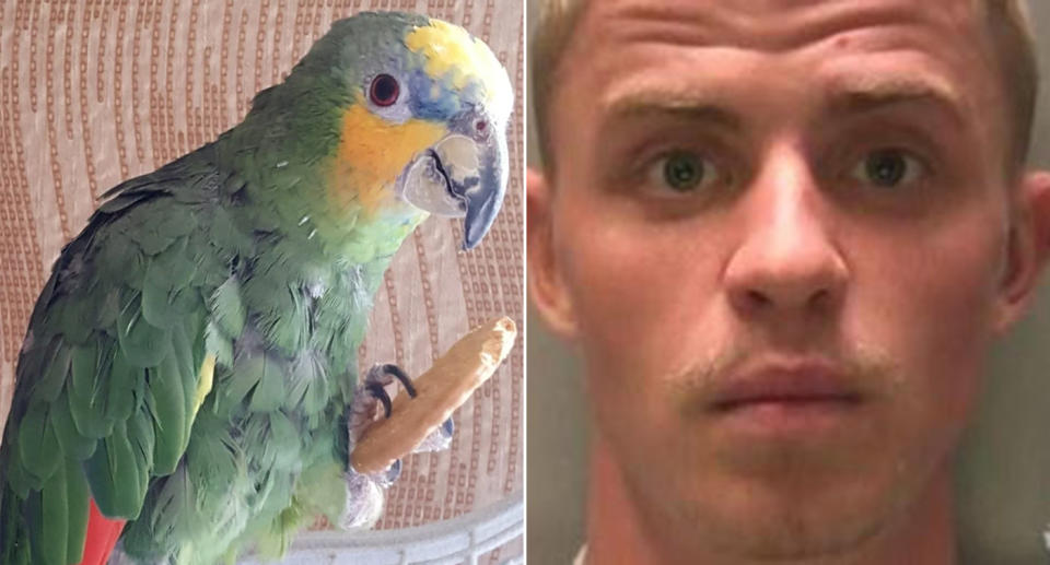 Charlie the parrot foiled a burglary carried out by Jake Fletcher, right (Wales News Service)