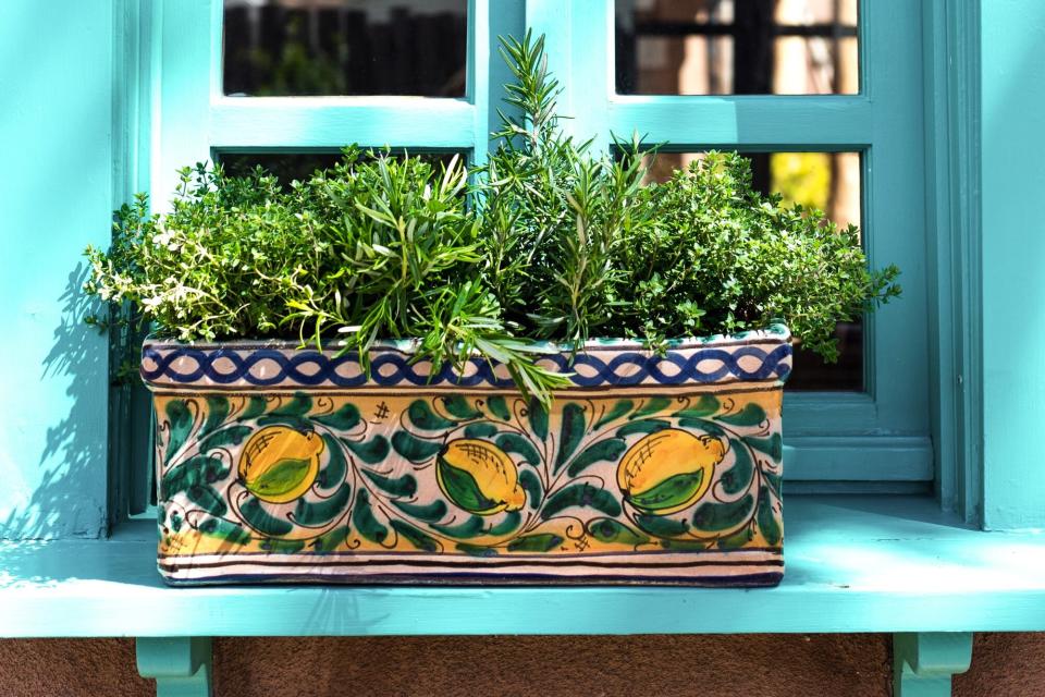 Window Box Full of Herbs on Turquoise Sill