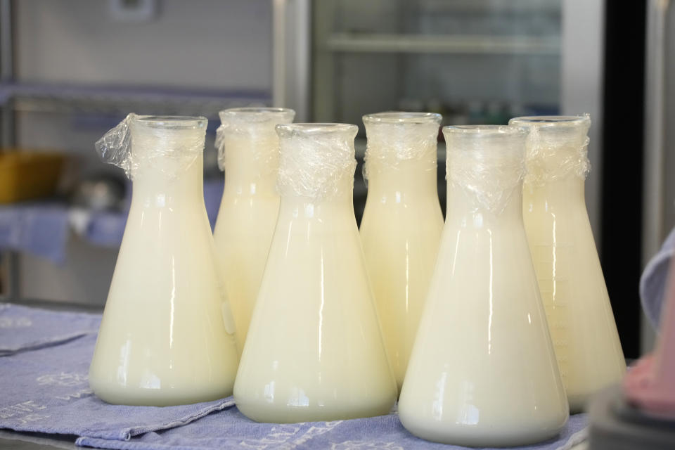 Bottles of frozen milk donated by lactating mothers waits to be loaded into refrigerators for distribution to babies Friday, May 13, 2022, at the Mothers' Milk Bank foundation's headquarters in Arvada, Colo. (AP Photo/David Zalubowski)