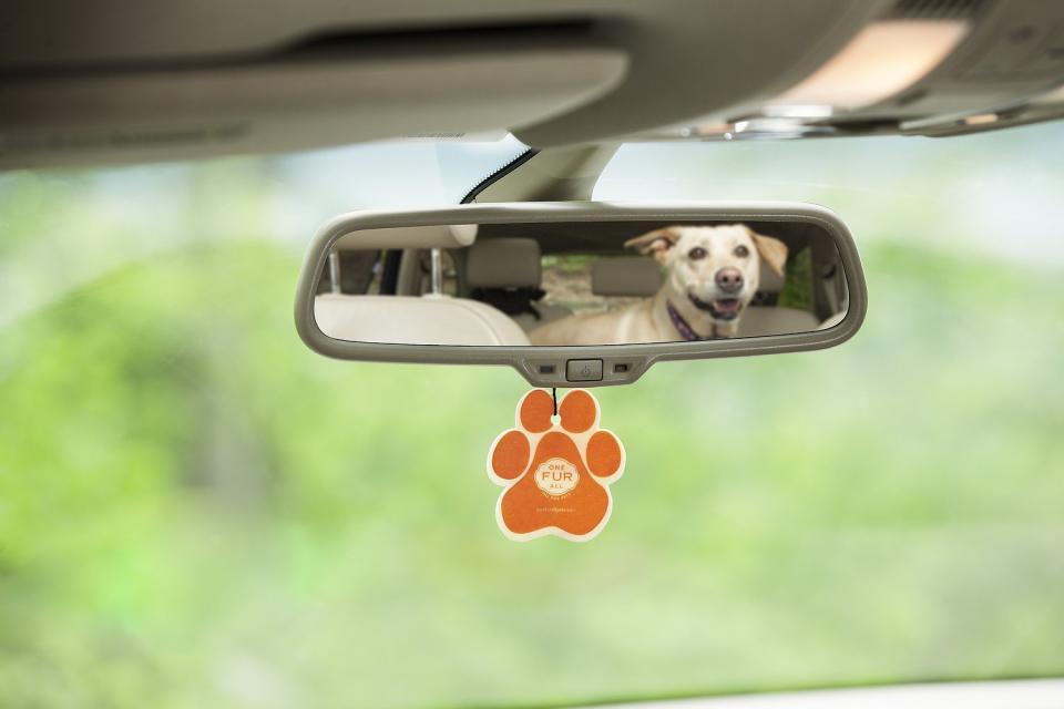 Pet House Pina Colada Car Air Freshener (Photo: Chewy)