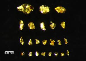 Photomicrograph of selected gold grains till sample GST-21-100