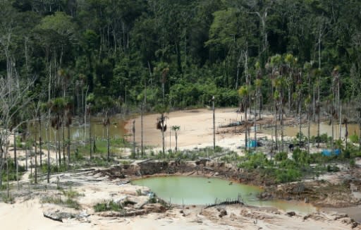 President Bolsonaro has said he could pull Brazil from the Paris Climate Accord, following Trump's lead. Aerial view taken on March 5, 2019 of the deforestation surrounding a dismantled gold digging system, near the illegal gold miners' camp "Mega 12", in the Amazon jungle in the Madre de Dios region, southeastern Peru, during a police operation to destroy illegal machinery and equipment.Illegal gold mining in the Amazon has reached "epidemic" proportions in recent years, causing damage to pristine forest and waterways and threatening indigenous communities
